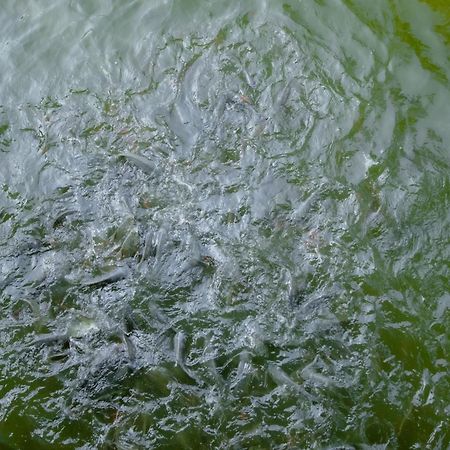 Bang Mee Homestay Koh Yao Noi Eksteriør bilde