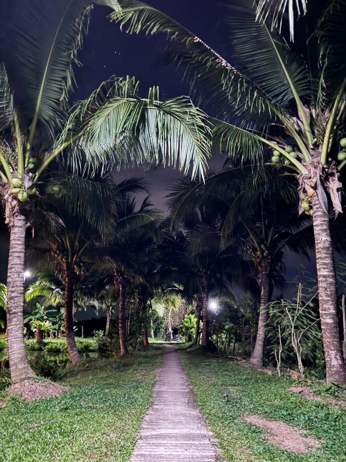 Bang Mee Homestay Koh Yao Noi Eksteriør bilde