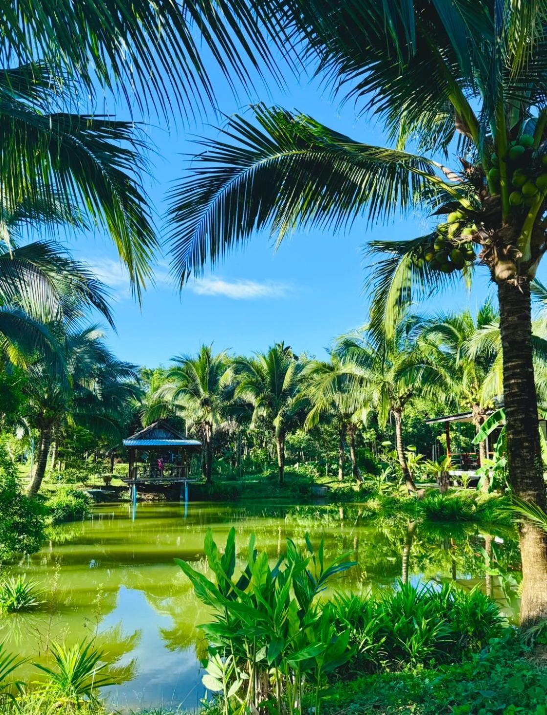 Bang Mee Homestay Koh Yao Noi Eksteriør bilde