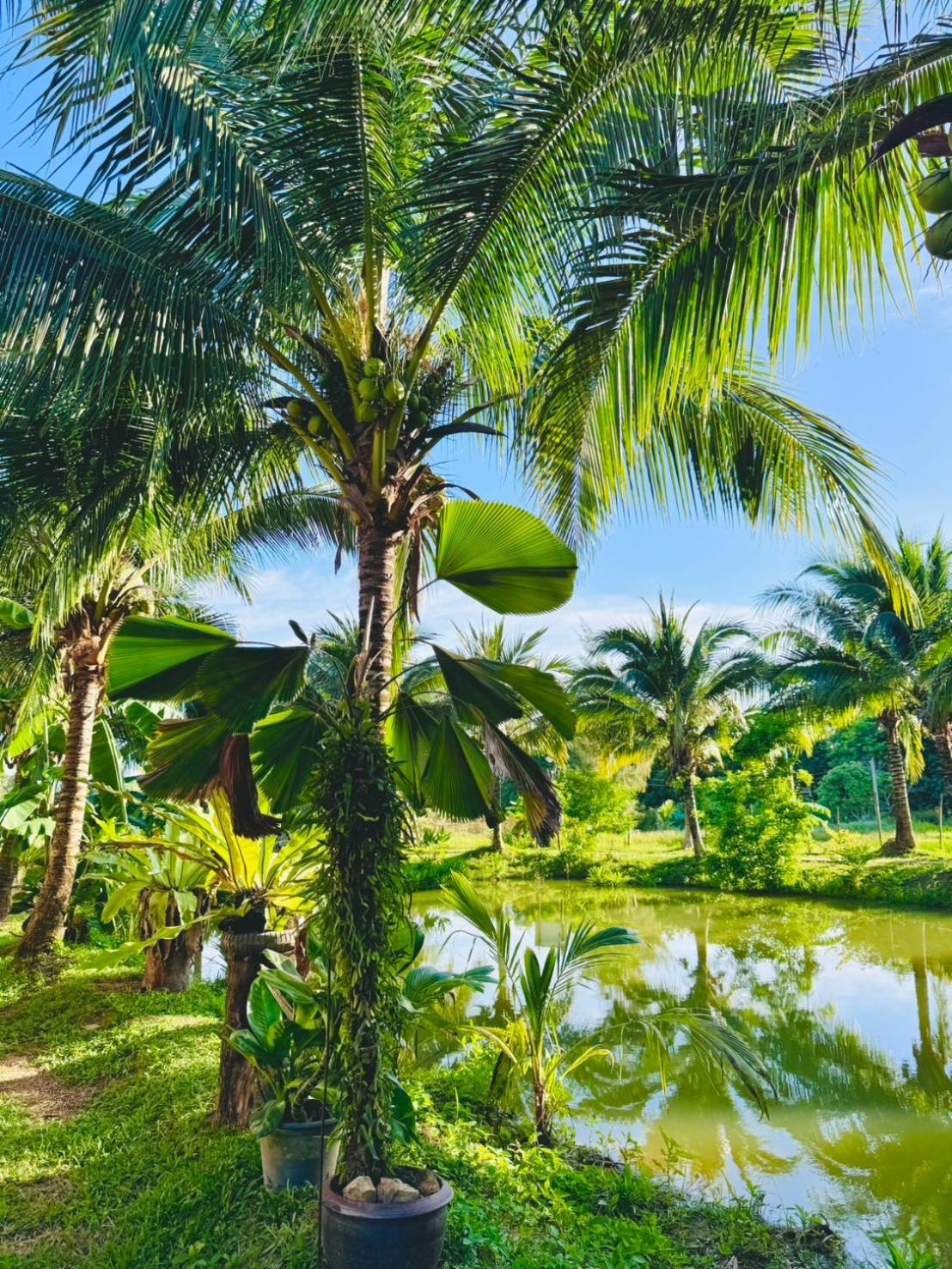 Bang Mee Homestay Koh Yao Noi Eksteriør bilde