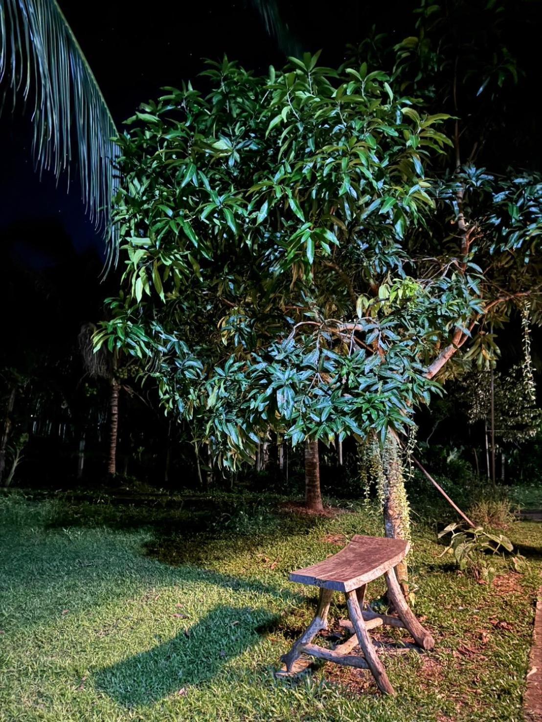 Bang Mee Homestay Koh Yao Noi Eksteriør bilde