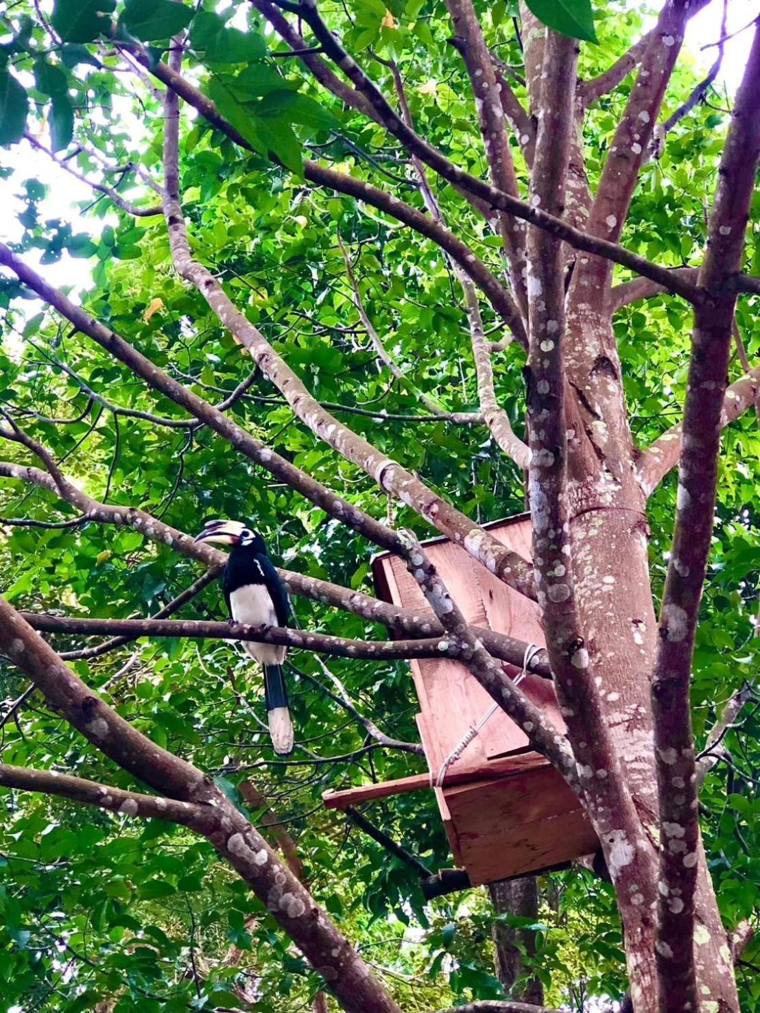 Bang Mee Homestay Koh Yao Noi Eksteriør bilde
