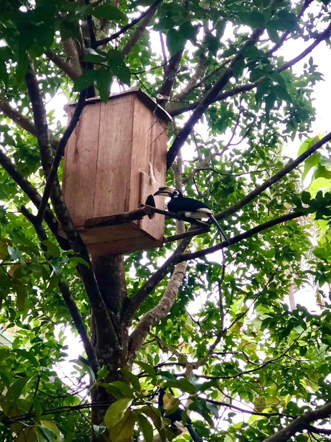 Bang Mee Homestay Koh Yao Noi Eksteriør bilde