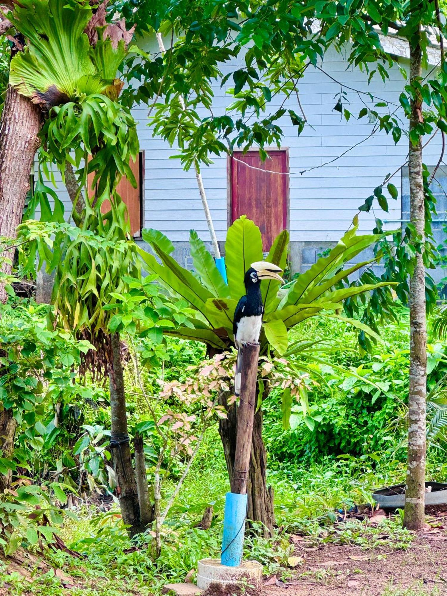 Bang Mee Homestay Koh Yao Noi Eksteriør bilde
